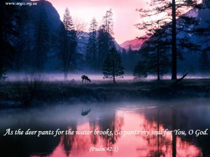 As the deer pants