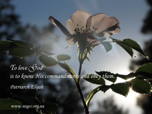 To love God