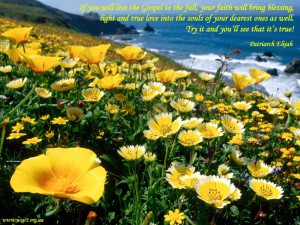 If you will live the Gospel to the full...