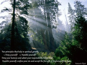 Two principles that help in spiritual growth
