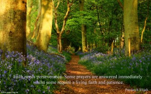 Faith needs perseverance...