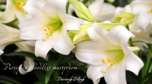 Purity is bloodless martyrdom...