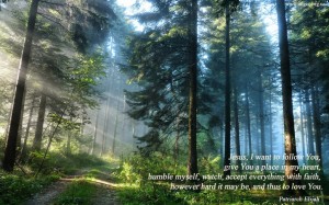 Jesus, I want to follow You...