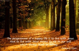 The programme of a happy life is to live with Jesus...
