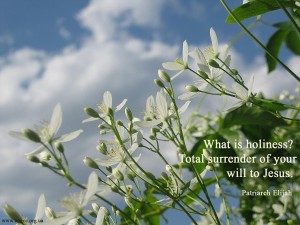 What is holiness...