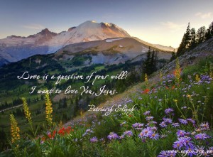 Love is a question of your will...