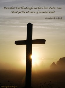 I thirst that Your blood might not have been shed in vain...