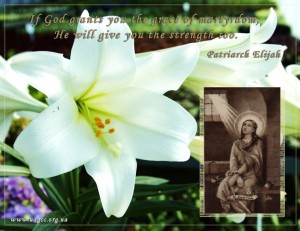 If God grants you the grace of martyrdom...
