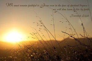 We must remain faithful to Jesus...