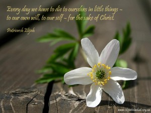 Every day we have to die to ourselves in little things...