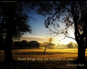 Avoid things that are harmful to you