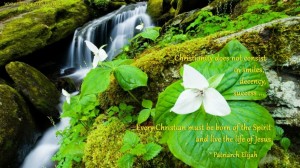 Christianity does not consist in smiles, decency, success ...