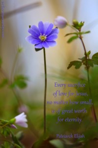 Every sacrifice...