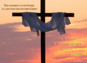The university of the Gospel...
