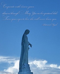 Cooperate with divine grace...