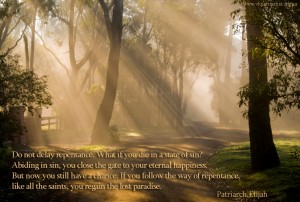 Do not delay repentance...