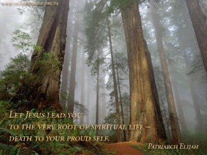 Let Jesus lead you...