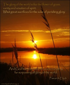 The glory of the world is like the flower of grass...