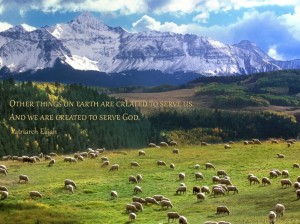 Other things on earth are created to serve us...