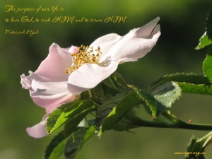 The purpose of our life is