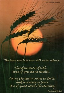 The time you live