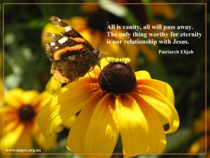 All is vanity, all will pass away.