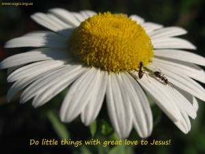 Do little things with great love to Jesus!