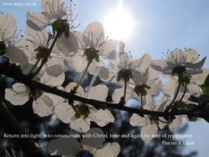 Return into light, into communion with Christ, time and again by way of repentance.