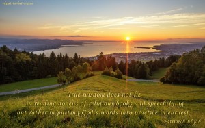 True wisdom does not lie...