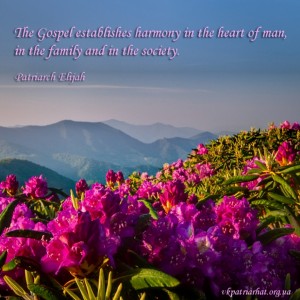 The Gospel establishes harmony...
