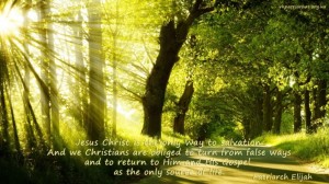 Jesus Christ is the only...