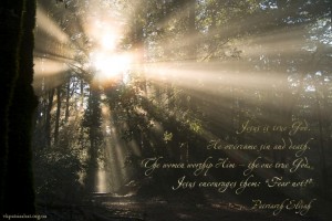 Jesus is true God...