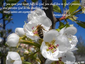If you open your heart fully to God...