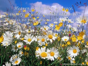 en. Heaven is the place...