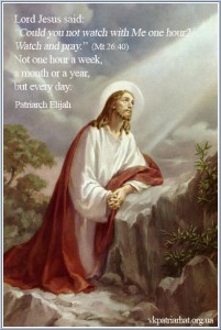 en. Lord Jesus said...