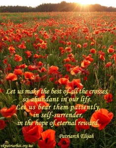 Let us make the best of all the crosses...