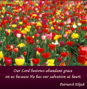 Our Lord bestows...