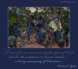 To bear fruit one needs...