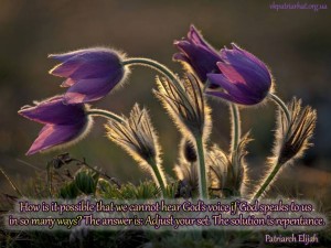 How is it possible that we...