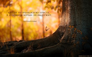 ru.Those who are not rooted in Christ...