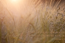 ua-koly-vmyrayemo-dlya-svoyeyi-voli_0