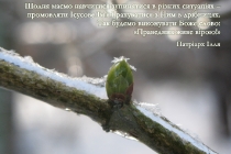 ua-shchodnya-mayemo-navchytysya-zupynyatysya_0