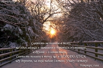 ua-svyatist-ne-polyahaye-v-tomu