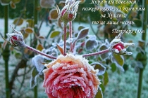 ua-yakby-nam-dovelosya-pozhertvuvaty ua-yakby-nam-dovelosya-pozhertvuvaty