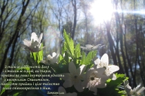 ua-z-tiyeyu-zh-viddanistyu-bohu_0